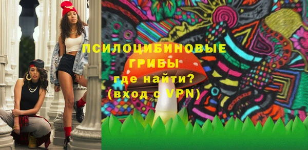 мяу мяу мука Покачи